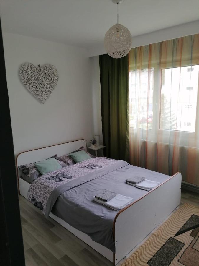 Apartament Alexia Διαμέρισμα Orşova Εξωτερικό φωτογραφία