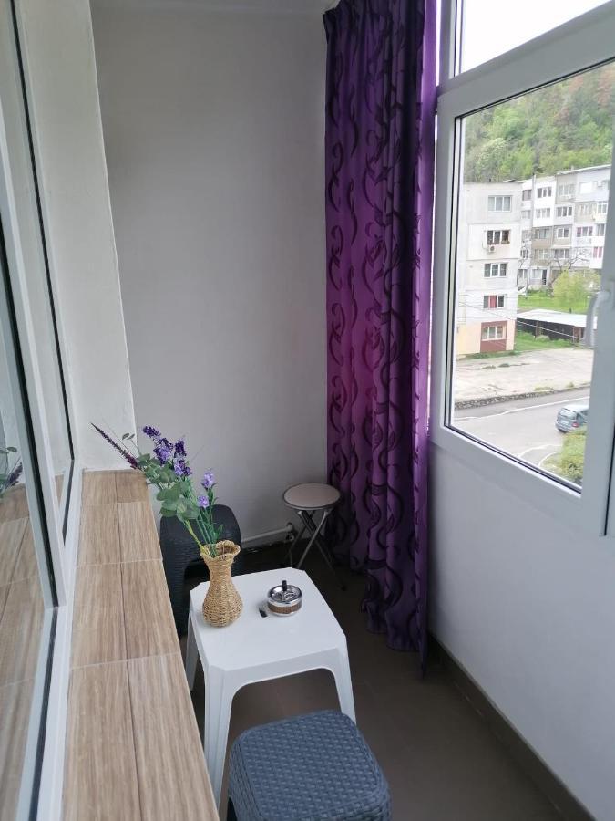 Apartament Alexia Διαμέρισμα Orşova Εξωτερικό φωτογραφία