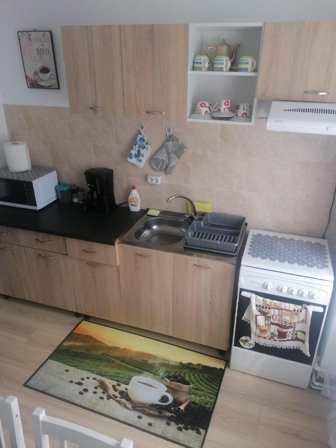 Apartament Alexia Διαμέρισμα Orşova Εξωτερικό φωτογραφία